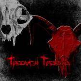 Through Terror : From Shadows we Rise